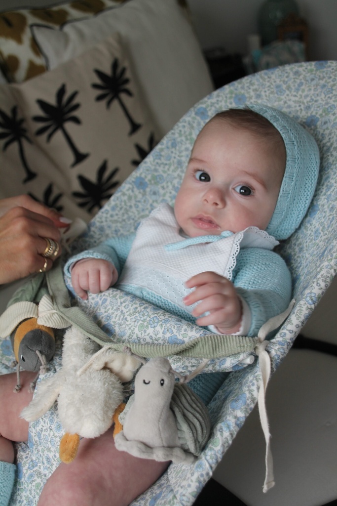 Funda con saco desmontable para Hamaca Babybjörn Fiori Azul