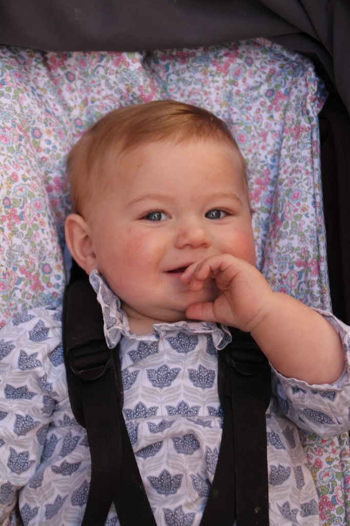 Colchoneta silla de paseo ligera Chelsea