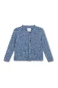 Chaqueta azul subido 