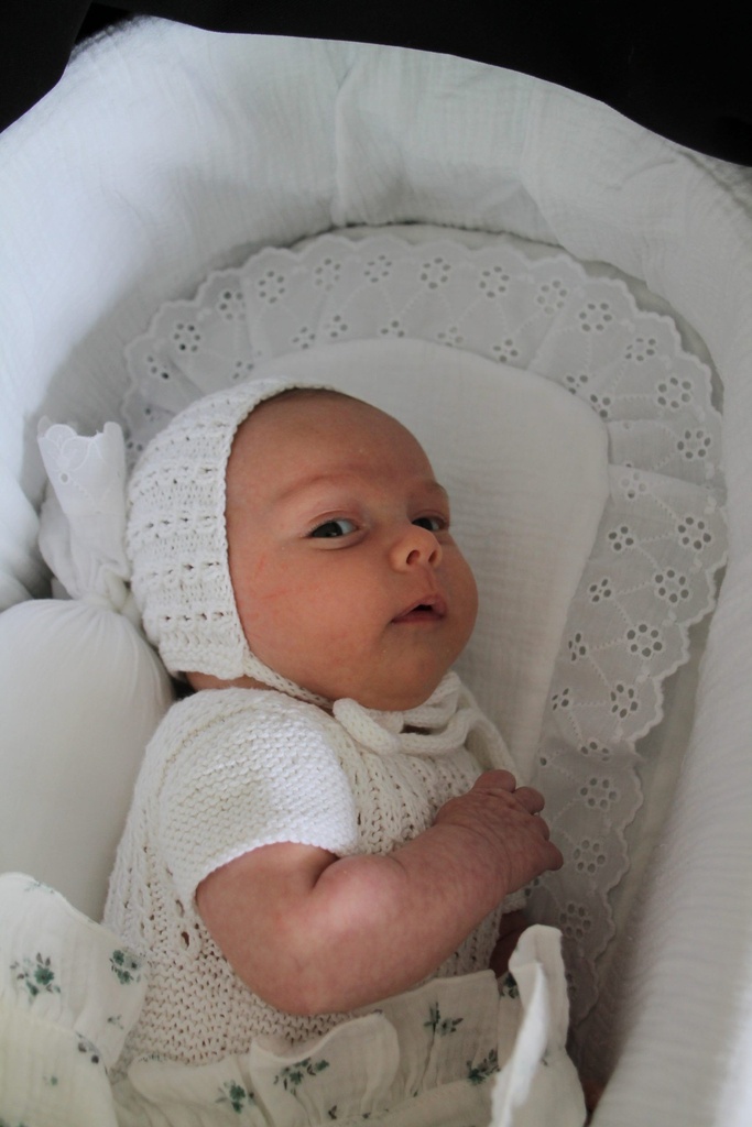 Salvababas berta mediano