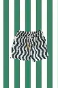 BAÑADOR NIÑO VERDE RAYAS VERDES ZIGZAG